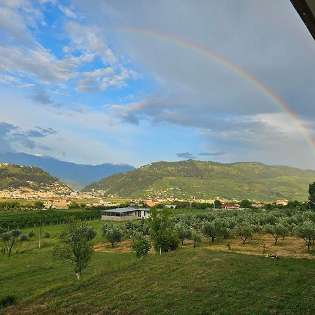 Guesthouse Iljaz Berat Zewnętrze zdjęcie